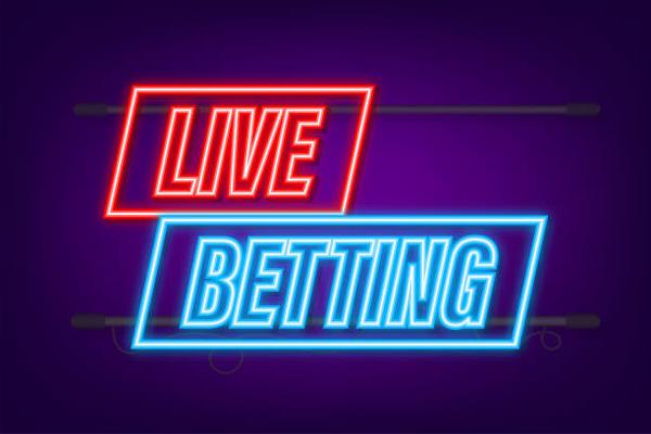 How Casino Platform Directories Present Website Details